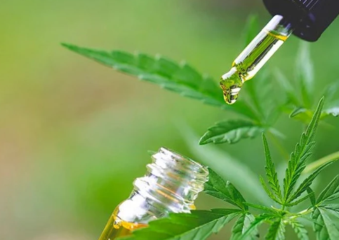 cbd olja kosttillskott hampafröolja hampa hhc vape